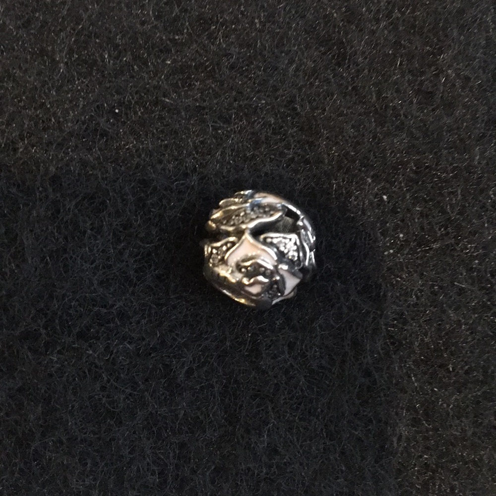 Pandora Charm